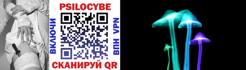 Псилоцибиновые грибы Cubensis  Купить  Вологда 